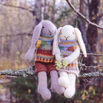 Bunny with Cozy Outfits