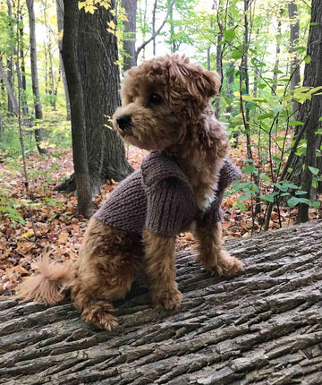 Dog Stretchy Cardigan