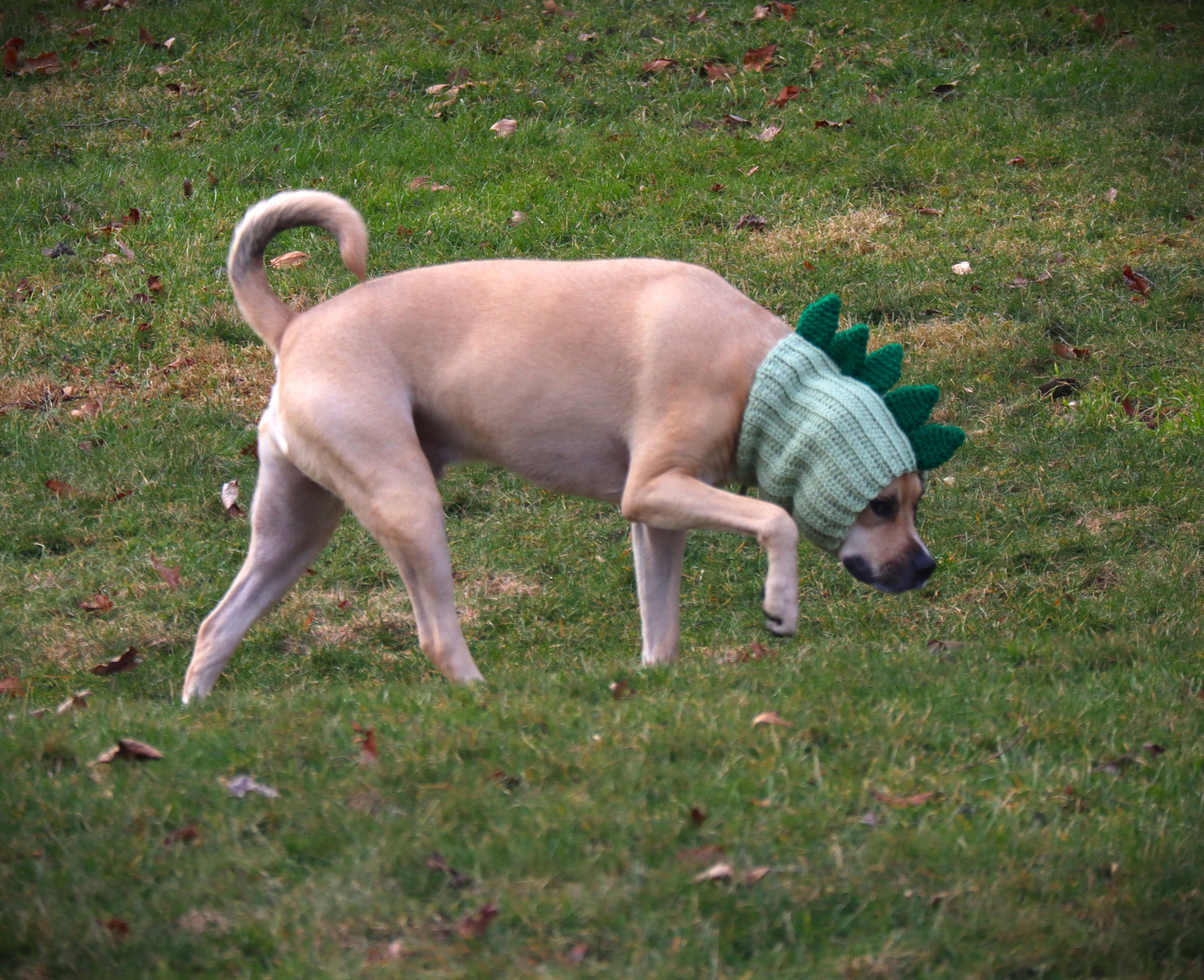 Dinosaur Dog Snood