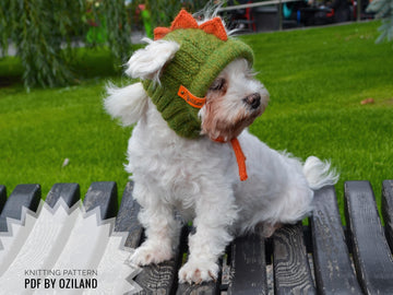 Knitting Pattern Dragon dog hat for small dog Size XS