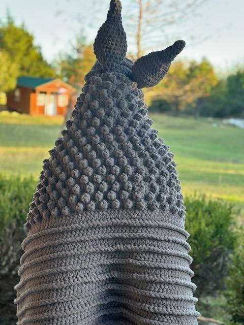 Armadillo Blanket