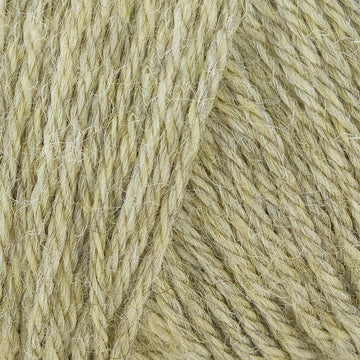 Spring Willow